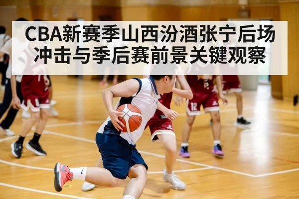 chinese basketball league game action