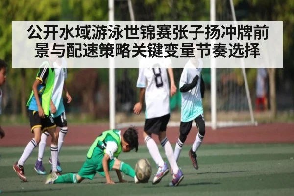 公开水域游泳世锦赛张子扬冲牌前景与配速策略关键变量节奏选择 | MK SPORT